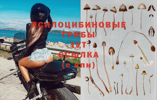 скорость mdpv Баксан